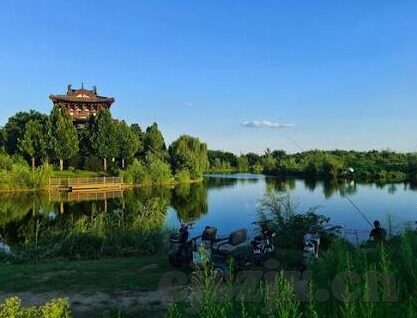 97人妻无码一区-探索97人妻无码一区，网络文化的边界与影响