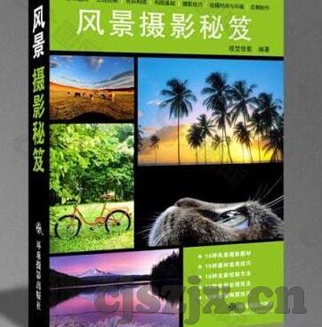 大象传媒黄板-探索大象传媒与黄板，创新传播的绿色路径