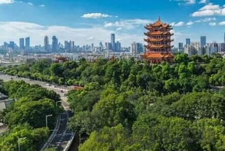 久久久麻豆91大神-解锁色彩斑斓的网文世界 —— 久久久麻豆下的创意与灵感之旅
