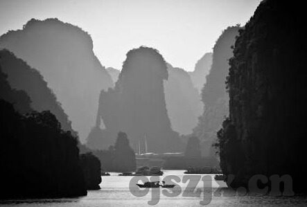 伦理电国最新伦理电-伦理电国最新伦理电，在科技与道德的十字路口