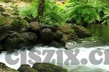 麻豆91短视频-网络现象的另一面，麻豆91短视频的透视