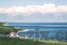 麻豆91下载-揭开麻豆91下载背后的真相