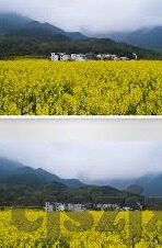 麻豆传媒app视频下载-