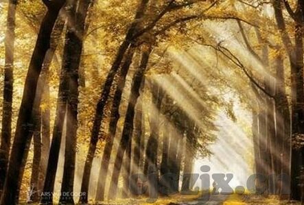 美味人妻2016-品味生活之味，2016年美味人妻的温馨记忆