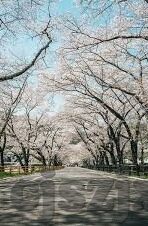 日韩av电影一区二区-日韩影视文化中的一区二区探索与思考