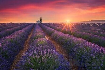 石家庄果冻传媒-石家庄果冻传媒，创新与融合的媒体新势力