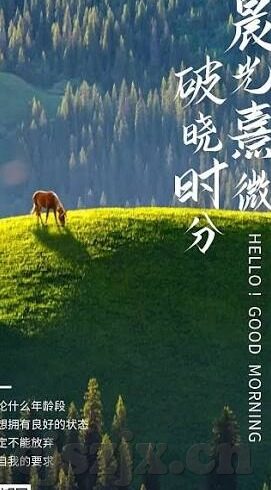 糖心vlog下载入口-探索糖心Vlog，解锁视频下载的趣味之旅